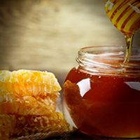 Мёд и мёдопродукты